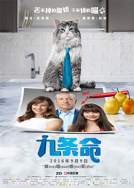 婷婷免费在线